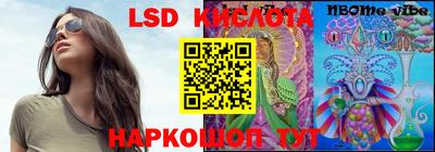 бошки Сланцы