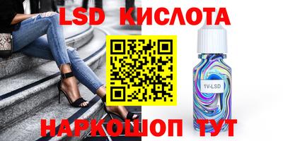 индика Славгород