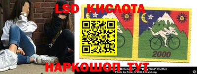 индика Славгород