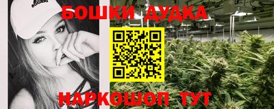 индика Славгород