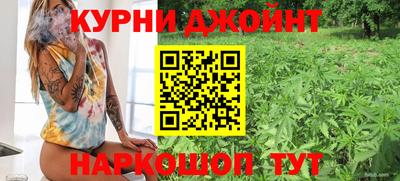 индика Славгород