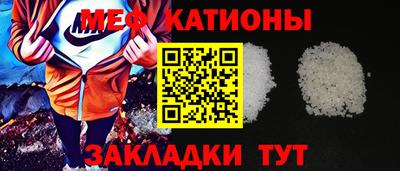 индика Славгород