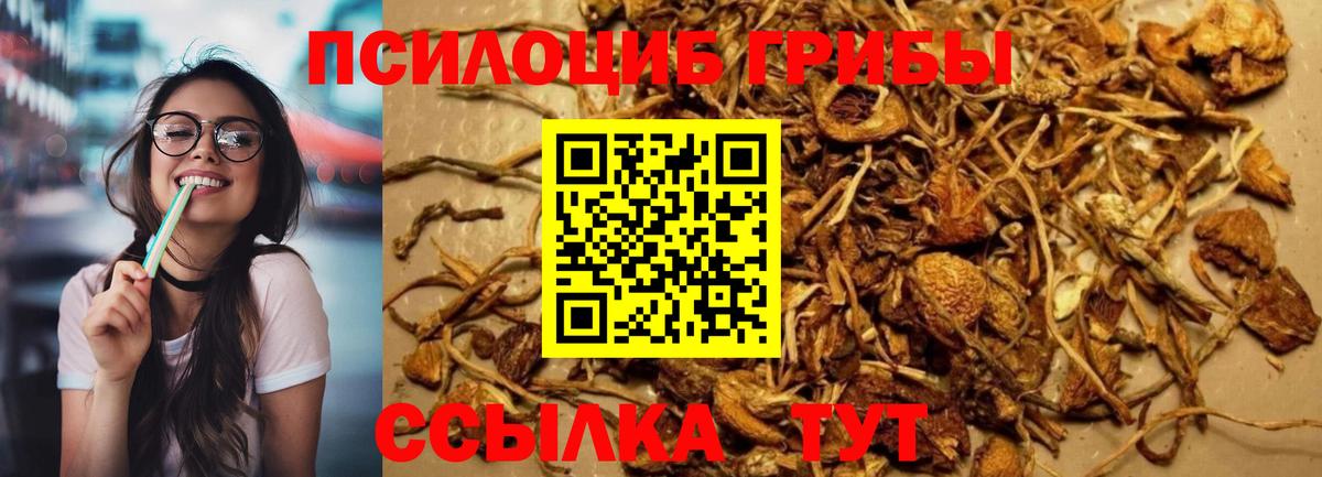 Галлюциногенные грибы Cubensis  как найти   Вход с VPN  Полысаево  Галлюциногенные грибы MAGIC MUSHROOMS 